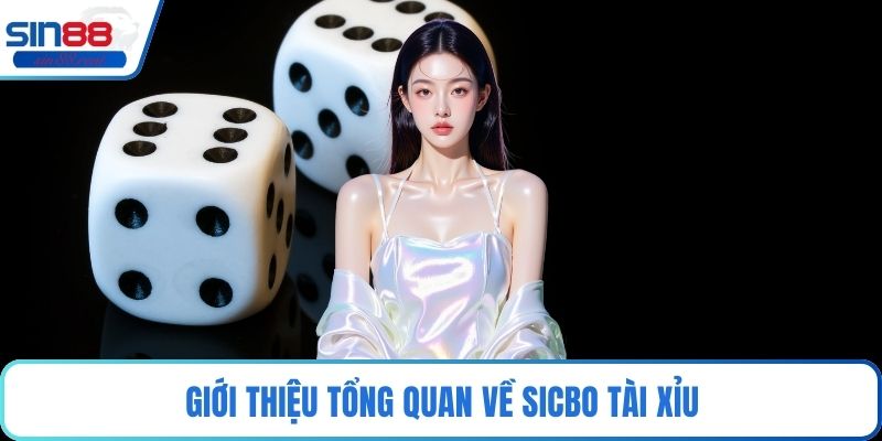 Giới thiệu tổng quan về Sicbo tài xỉu
