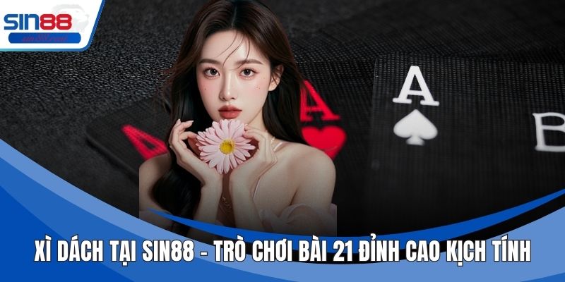 Xì Dách Tại Sin88 – Trò Chơi Bài 21 Đỉnh Cao Kịch Tính